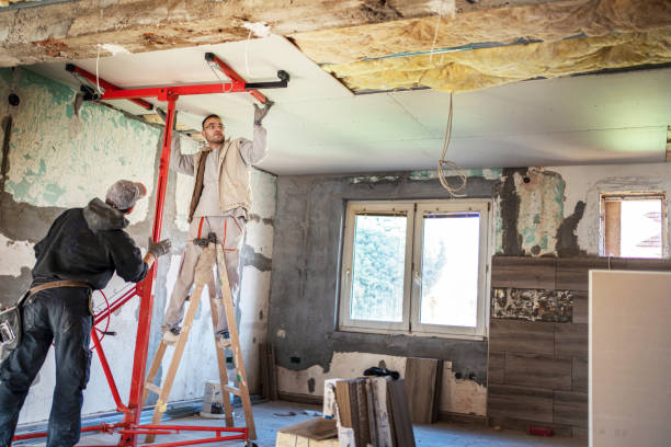 Best Specialized Insulation Services in Shelburne Falls, MA