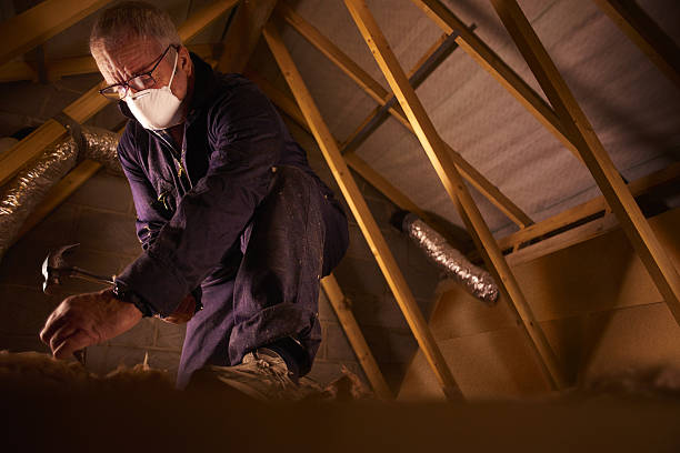 Best Insulation Maintenance and Repair in Shelburne Falls, MA